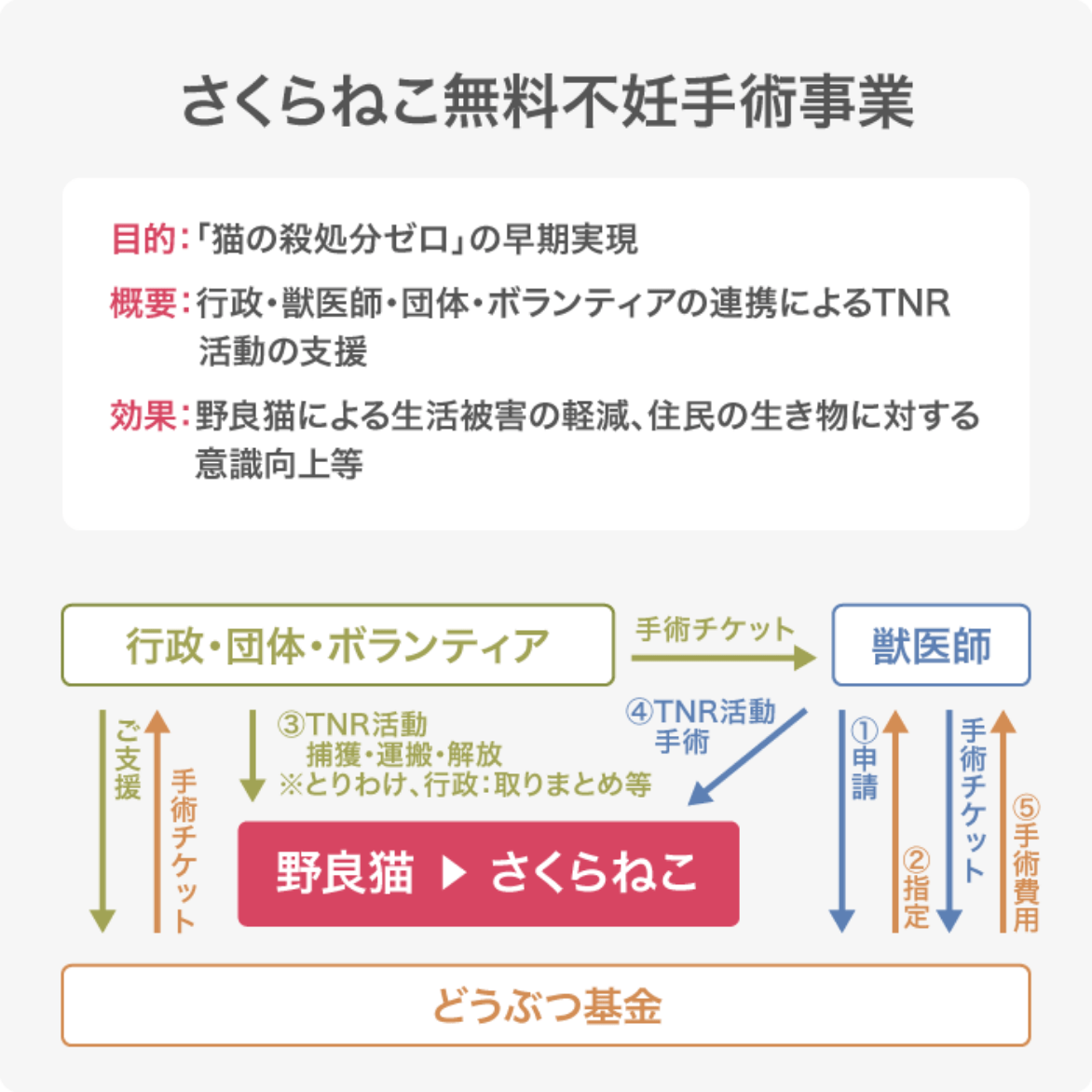 さくらねこ無料不妊手術事業